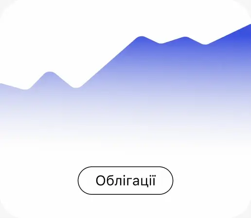 asset image 5